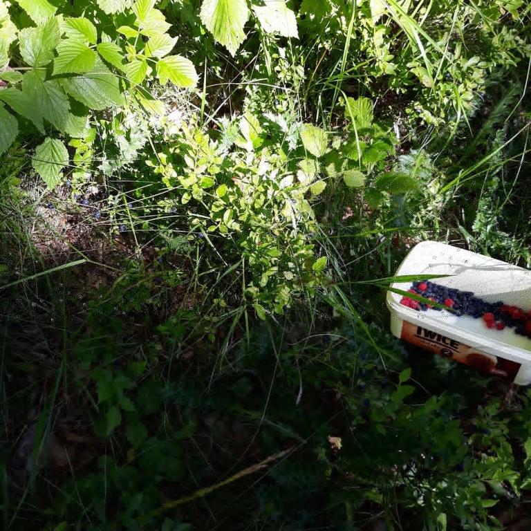 Miracle garden - Two-Bedroom House - 40