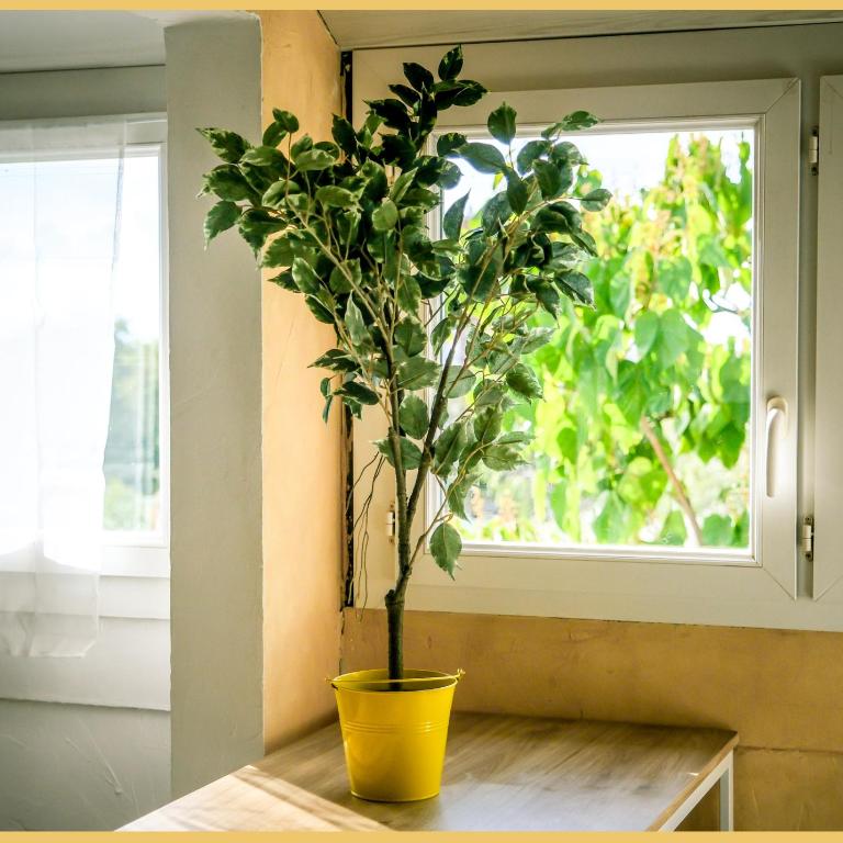 Chez Amel & Val I T2 I Annemasse - Apartment mit 1 Schlafzimmer - 22