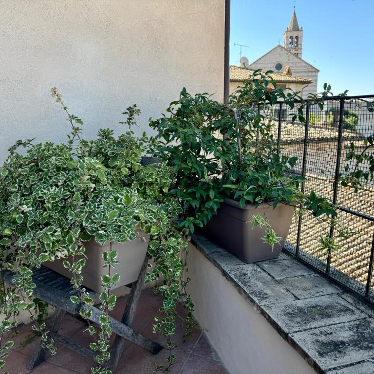 Appartamento Mazzini - Appartamento con 2 Camere da Letto, Balcone e Terrazza - 8