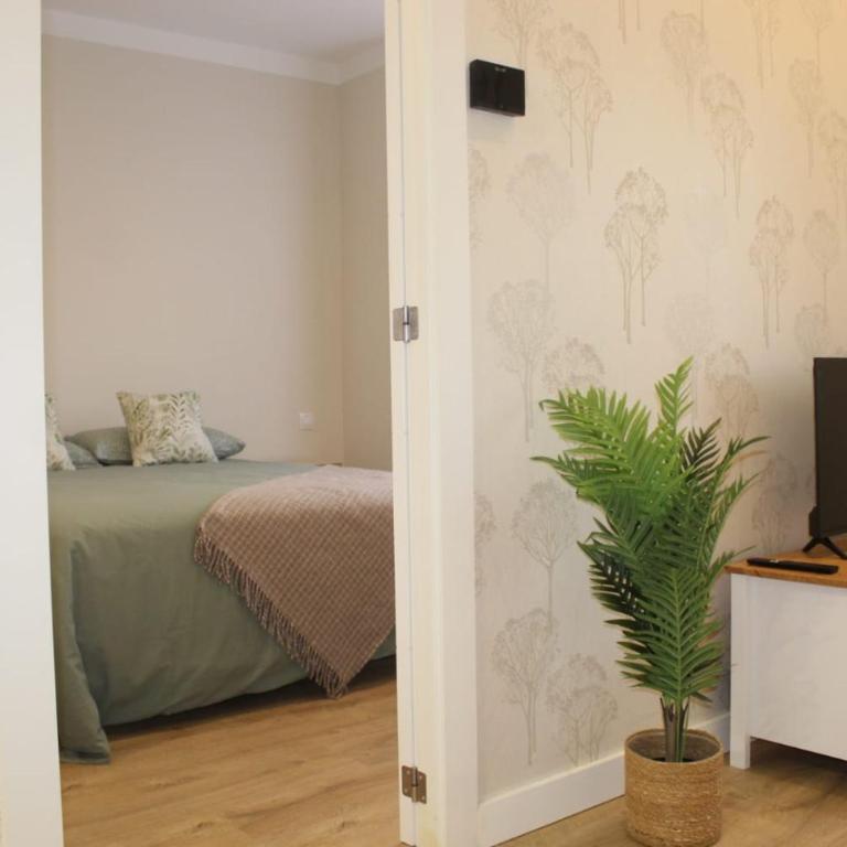 Casa Leire - Apartamento de 2 dormitorios - 14