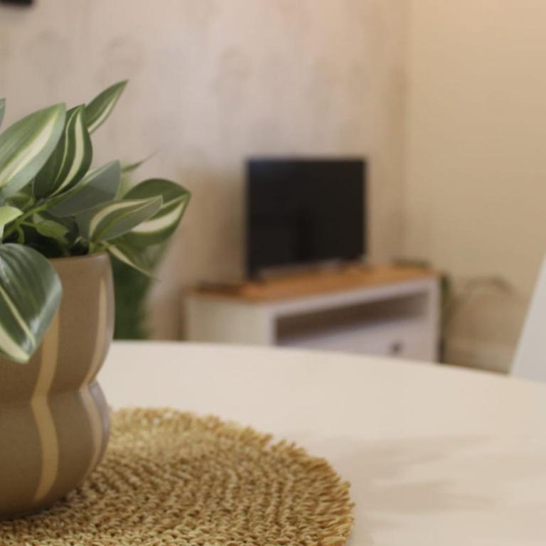 Casa Leire - Apartamento de 2 dormitorios - 10
