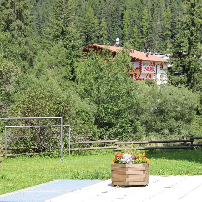 Appartamenti Des Alpes - Apartment mit 1 Schlafzimmer - 6