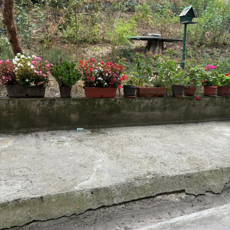 Apartman Tobias Tower Sarajevo - Apartman sa 1 Spavaćom Sobom - 3