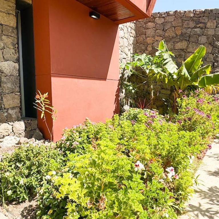 Green Villa The Canarian Garden by CanaryScape - Villa de 3 dormitorios - 15