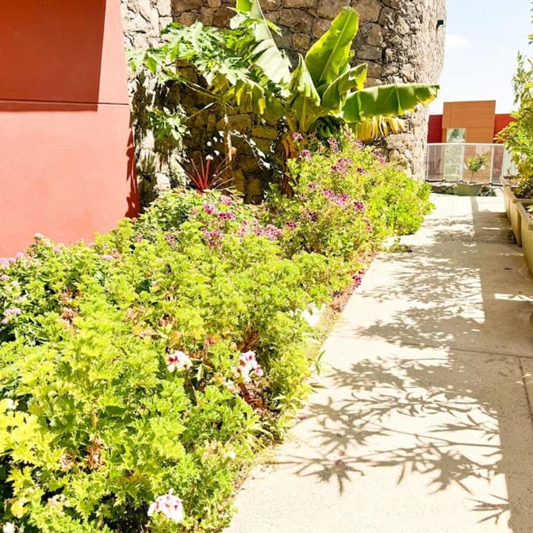 Green Villa The Canarian Garden by CanaryScape - Villa de 3 dormitorios - 14