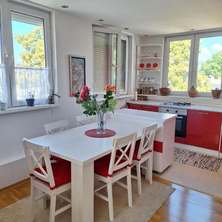 Apartman Ersa Sarajevo - One-Bedroom Apartment - 6