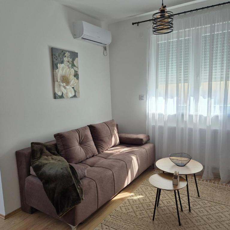 Apartman Lazić - Apartman sa 1 Spavaćom Sobom - 6