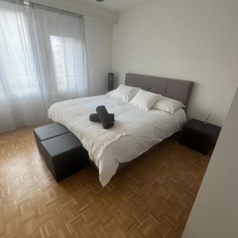 Genève magnifique appartemens aux Eaux vives - Appartement 2 Chambres avec Balcon - 16