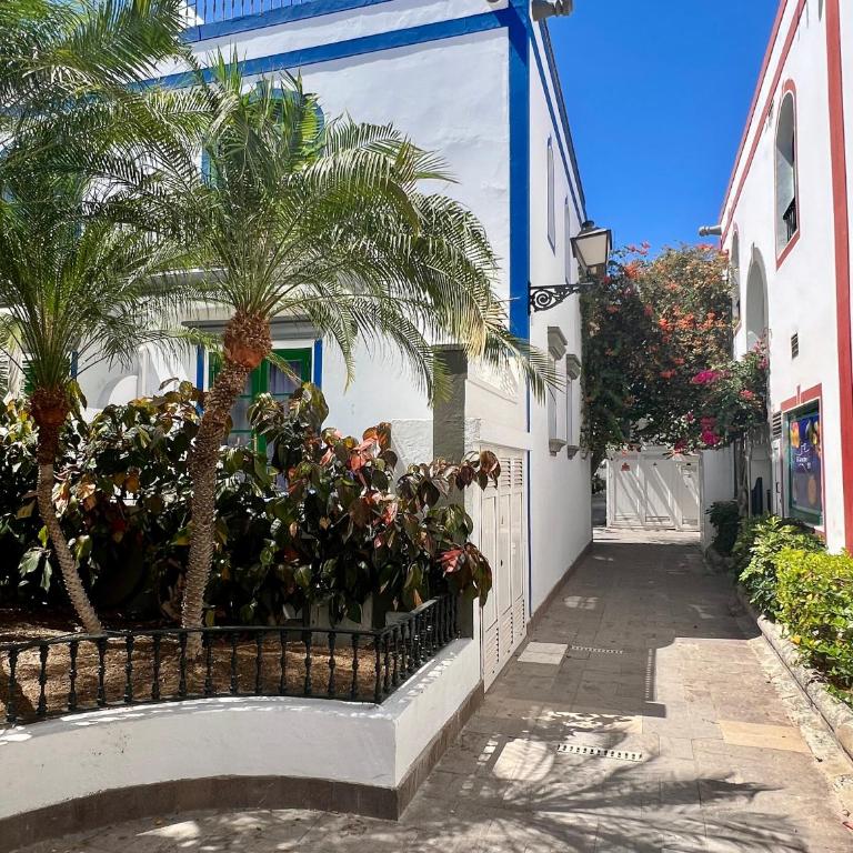 Apartment Valentina - Little Venice, Puerto de Mogan - Apartamento de 1 dormitorio - 15