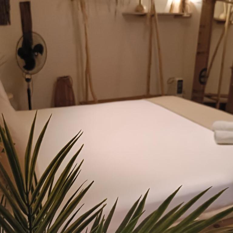 Cactus Host - Suite - 18