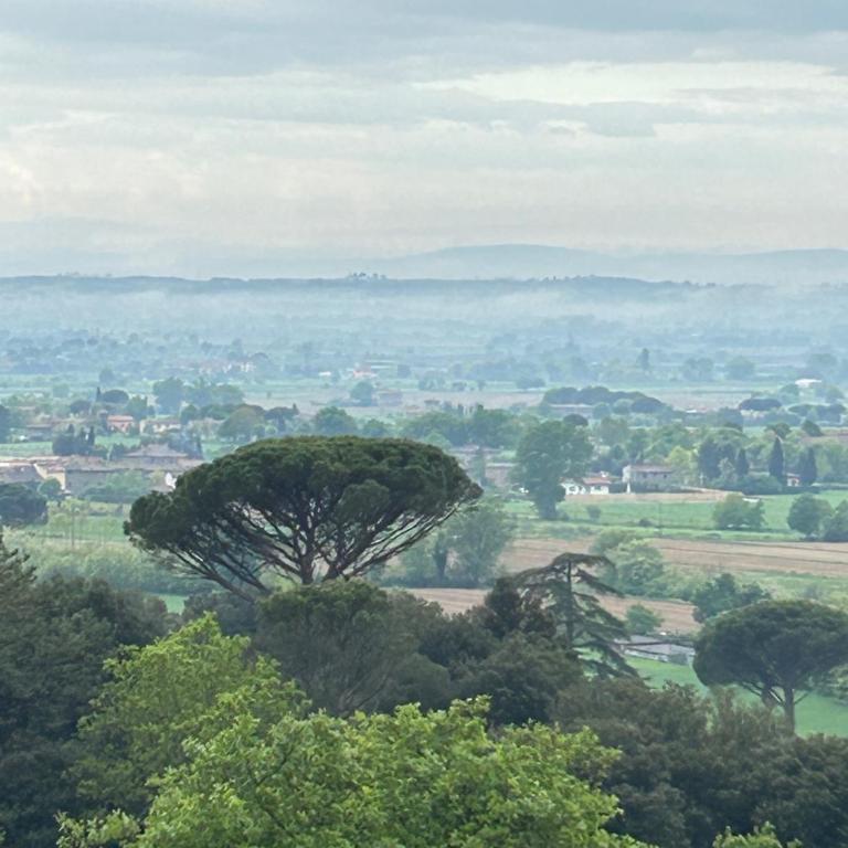 Torretta Filomena Villa Toscana - Villa - 53