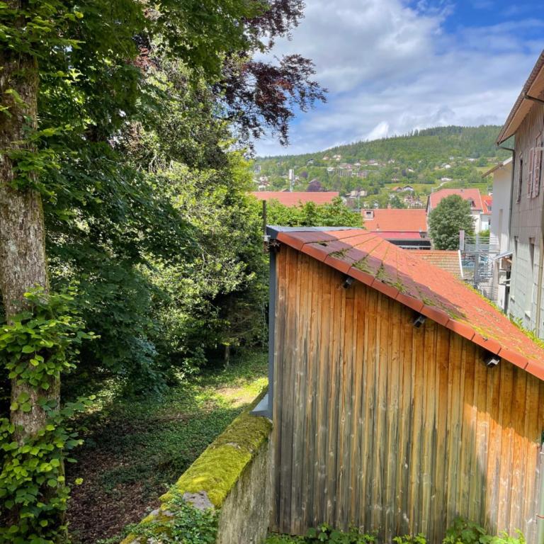 Appartement lac et montagne - Appartement 1 Chambre - 18