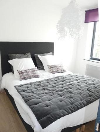 Les Mini-lofts de Paul et Virginie - Appartement 2 Chambres (4-6 Adultes) - 5