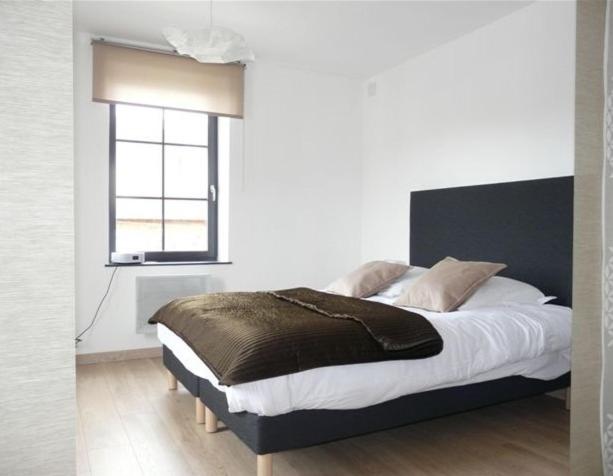 Les Mini-lofts de Paul et Virginie - Appartement - 5