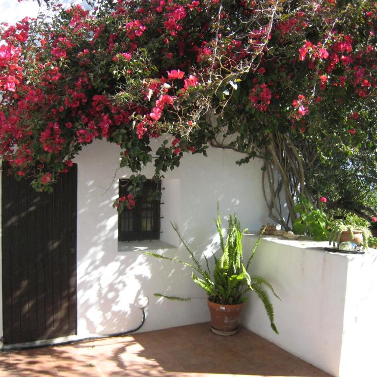 encantadora casa ibicenca - Villa - 44