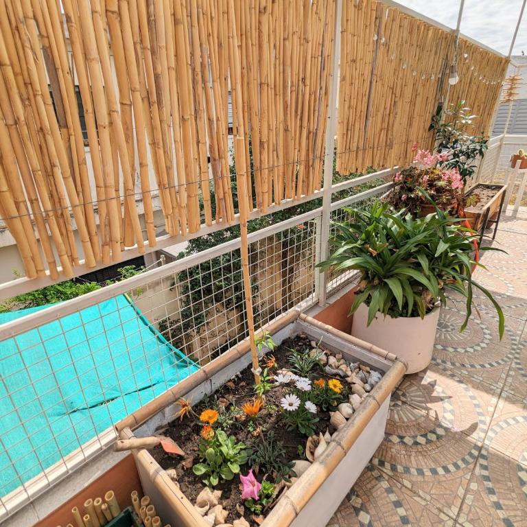 Alojamiento El Caracol - Apartamento de 1 dormitorio con balcón - 11
