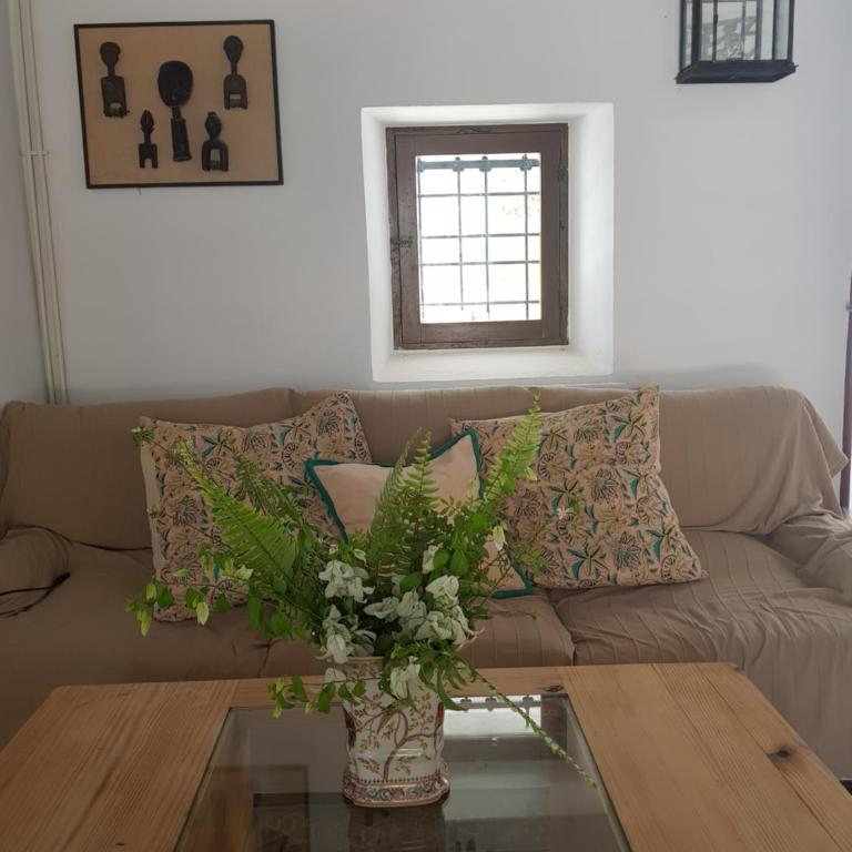 encantadora casa ibicenca - Villa - 50
