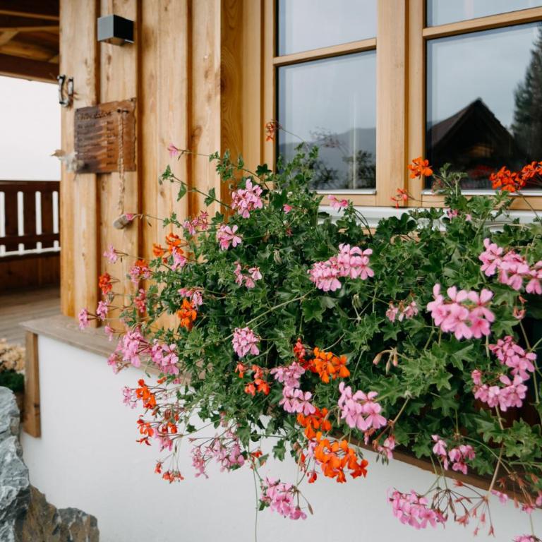 Rainerhof Troadkasten - Maison de Vacances - 25