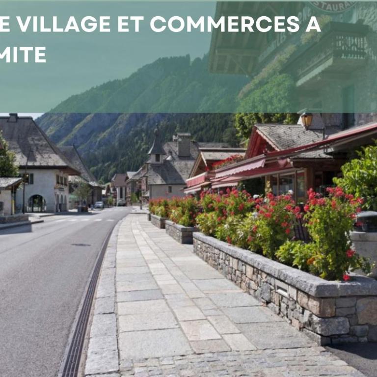 Chalet les 4 saisons - Ski, parking et jardin - Chalet - 44