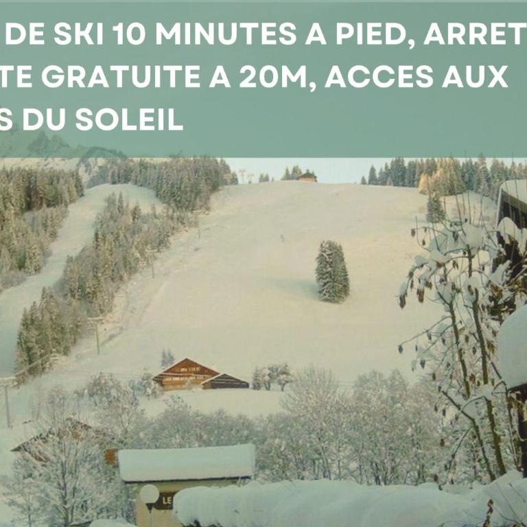 Chalet les 4 saisons - Ski, parking et jardin - Chalet - 43