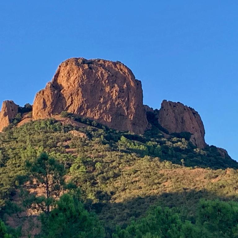 Cap Esterel - endroit magique entre mer et l'Esterel - agréable 2 pièces au gout du jour vue mer - Appartement 1 Chambre - 43