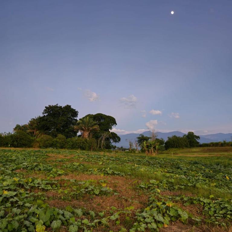 Casa Vacacional Piscina, Jacuzzy, Sauna a 2m del Aeropuerto el Eden AXM, 20m Parque del cafe y 15m de Armenia by Molca Xperiences - Three-Bedroom House - 14