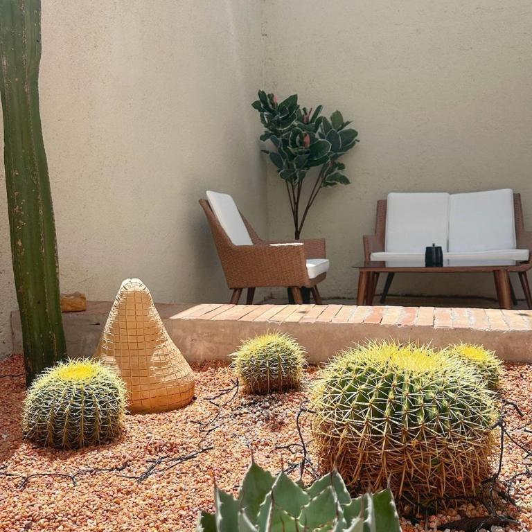 Casa Escorpión Oaxaca · · Handmade in Oaxaca · A/C · Patio · Rooftop · - Villa Deluxe - 41