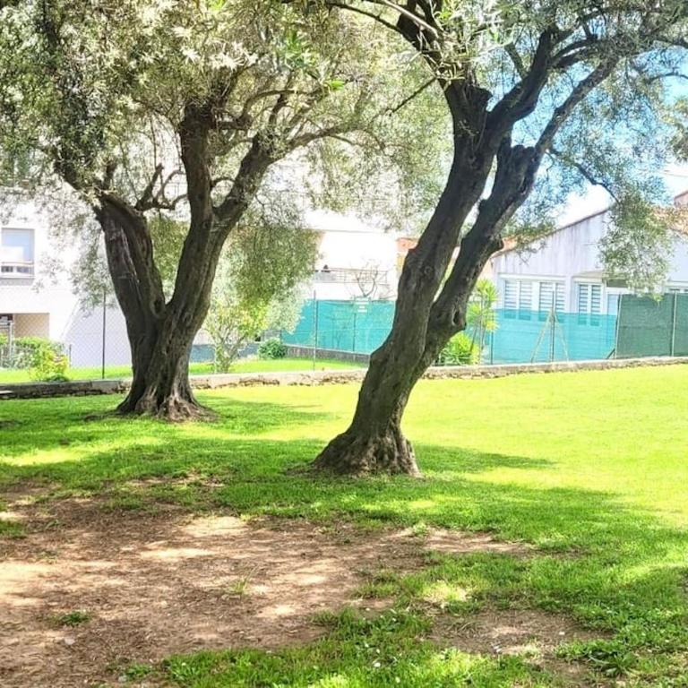 Appartement spacieux ,4 pers,Piscine & Vue mer - Appartamento con 2 Camere da Letto, Terrazza e Vista Mare - 10