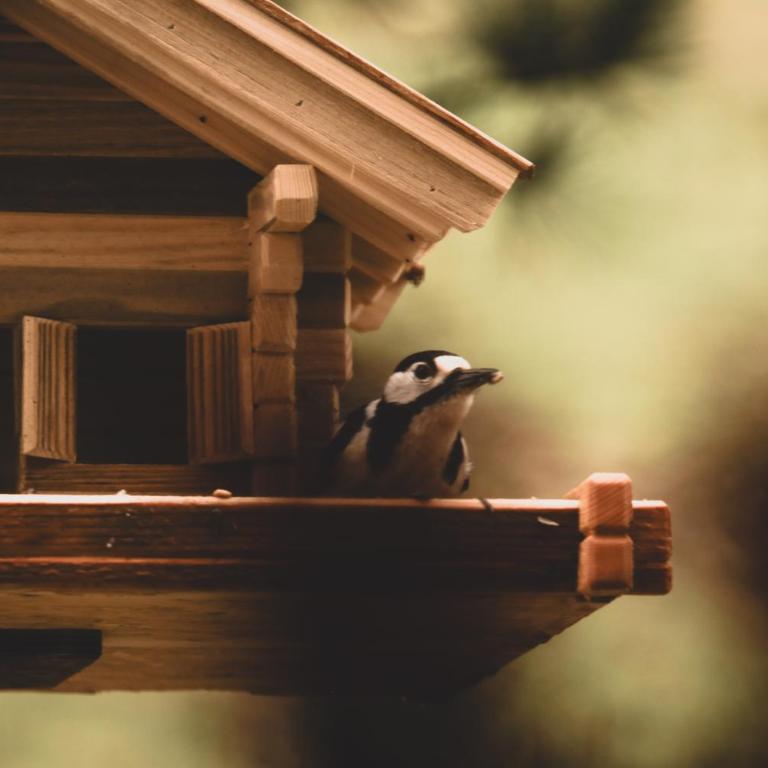Cuckoos' Nest - Apartment mit Blick auf die Berge - 13