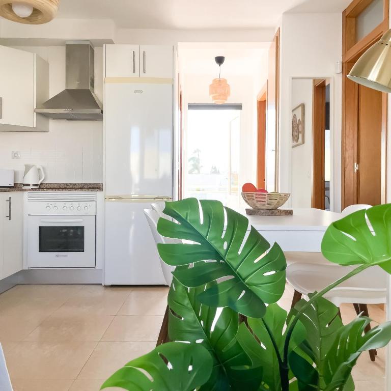 Casa Koli by Best Holidays Fuerteventura - Two-Bedroom Apartment - 26