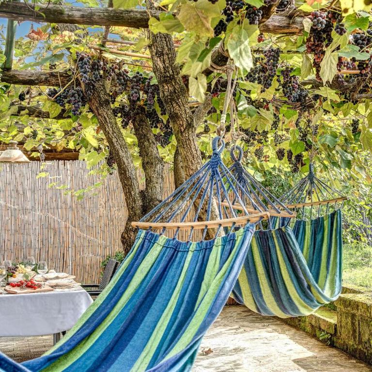 Villa Sorrentina With Panoramic Terrace - Villa con Piscina Privata - 26