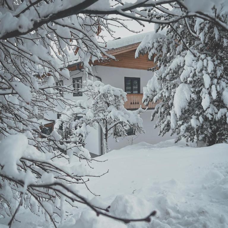 Cuckoos' Nest - Apartment mit Blick auf die Berge - 11