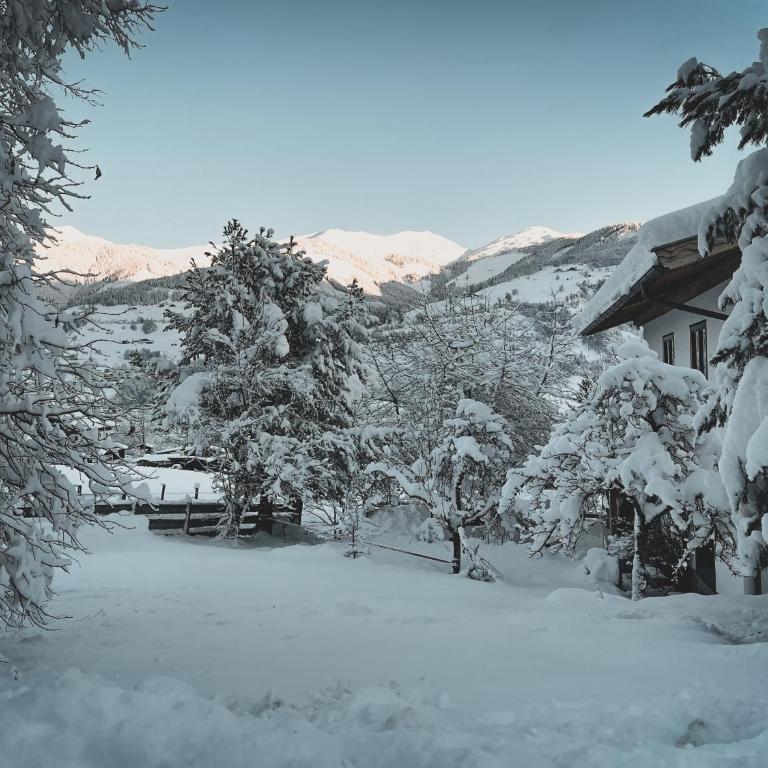 Cuckoos' Nest - Apartment mit Blick auf die Berge - 16