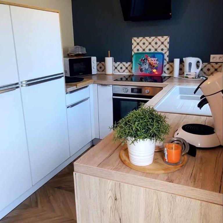 Le grand Messin - Calais Nord -Cour - Plage - Ferry - Eurotunnel - Appartement 2 Chambres - 15