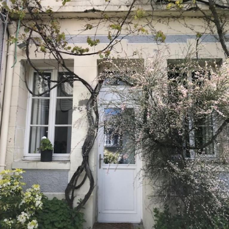 Charming T2 near beach of Trouville-sur-Mer - Appartement - 9