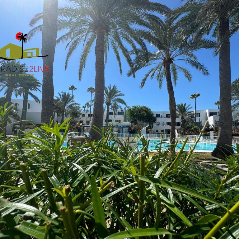 Urban Beach Corralejo - Apartamento de 1 dormitorio - 6