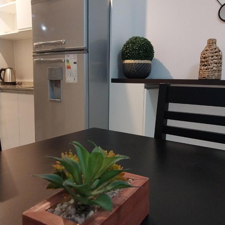 Bv, Illia 531 - Apartamento de 1 dormitorio - 1