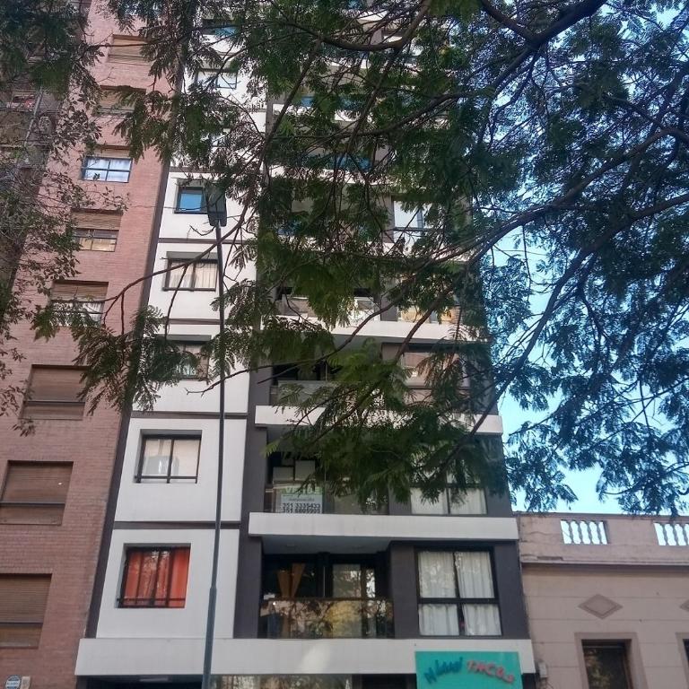 Bv, Illia 531 - Apartamento de 1 dormitorio - 7