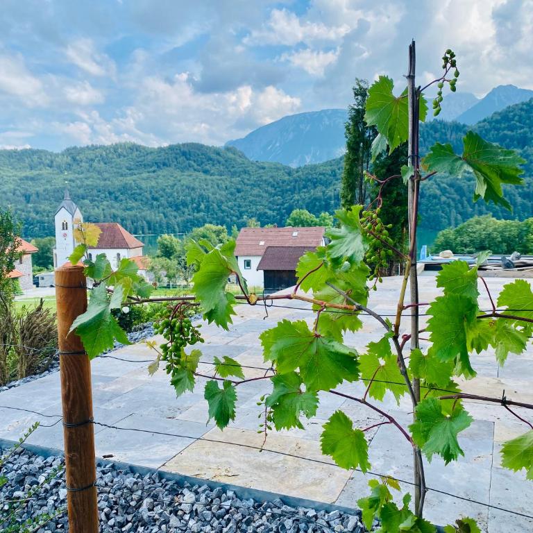 Luxury Mountain Lodge - Apartment mit 1 Schlafzimmer - 10