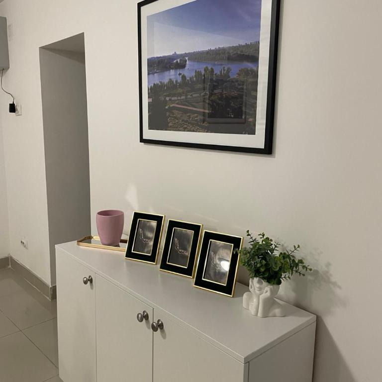 ForS Downtown Lux Apartment - Apartman - Prizemlje - 4