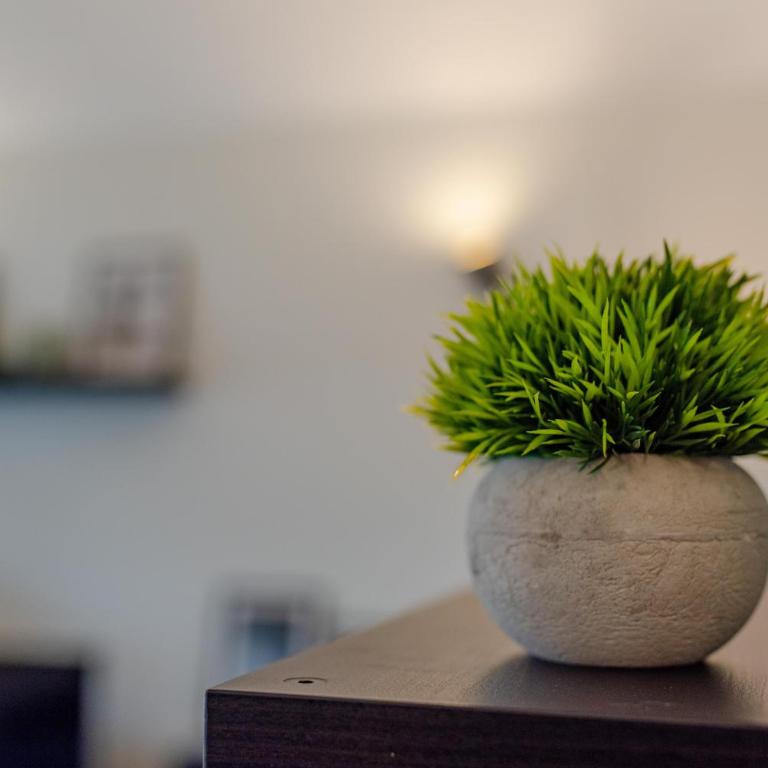 Dal Vassalli Eandi by HAPPYHOSTORINO - One-Bedroom Apartment - 24
