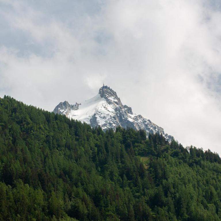 Les Barrats - Duplex - Central - Vue Mont-Blanc - Appartement - 31
