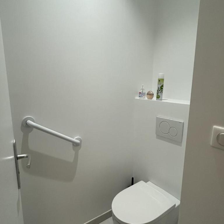Grand Appartement Avec Patio à Paris 14ème - Appartement 1 Chambre - 15
