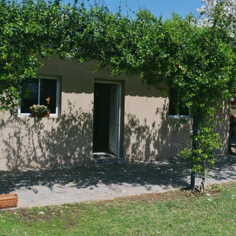 Depto alaniz salinas - Apartamento de 1 dormitorio - 7
