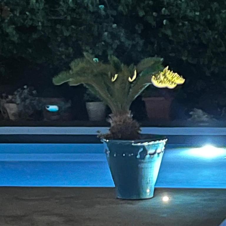 L'ANNAMARCO private storical Trullo and Property with large & nice swiming-pool - Two-Bedroom Villa - 19