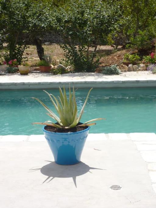 L'ANNAMARCO private storical Trullo and Property with large & nice swiming-pool - Two-Bedroom Villa - 21