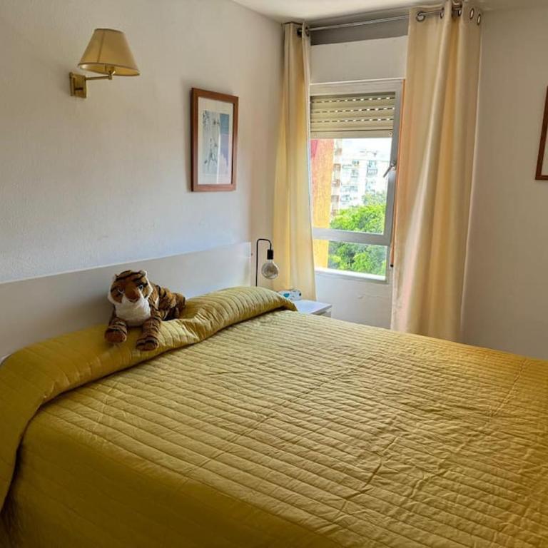 Apartment in Benalmadena - Apartamento de 1 dormitorio - 31