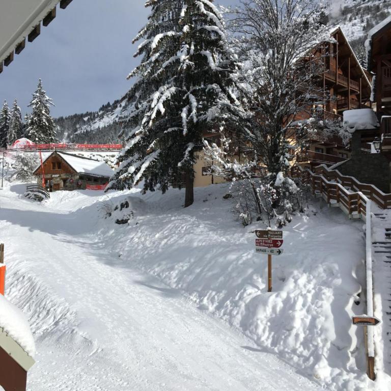 Superbe appartement 8 personnes au pied des pistes - Appartement - 21