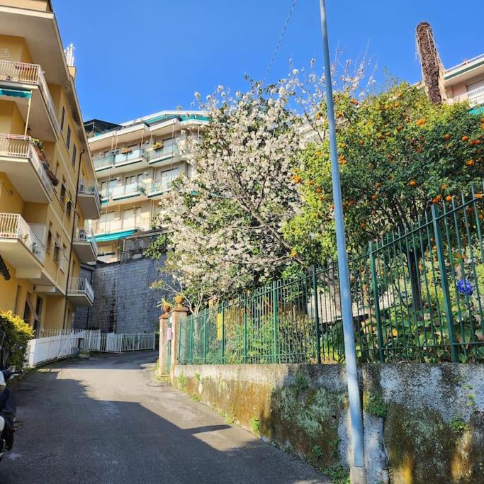 Marina - Appartamento con 1 Camera da Letto - 20
