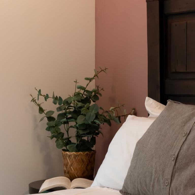 Nuevo y moderno Departamento en zona de Santa Fe - Apartamento - 22